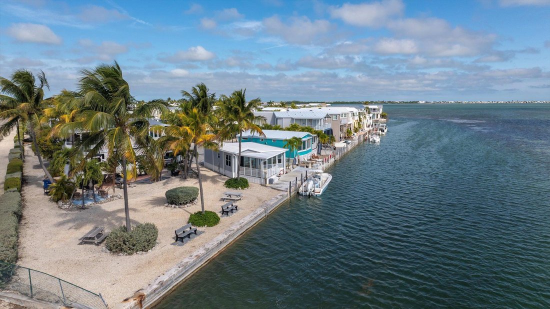 Big Pine Key, Florida, United States 4 - 18624191