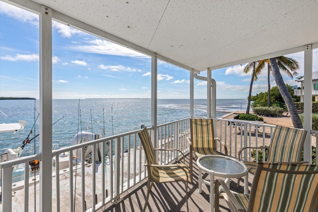 Big Pine Key, Florida, United States 1 - 18624191