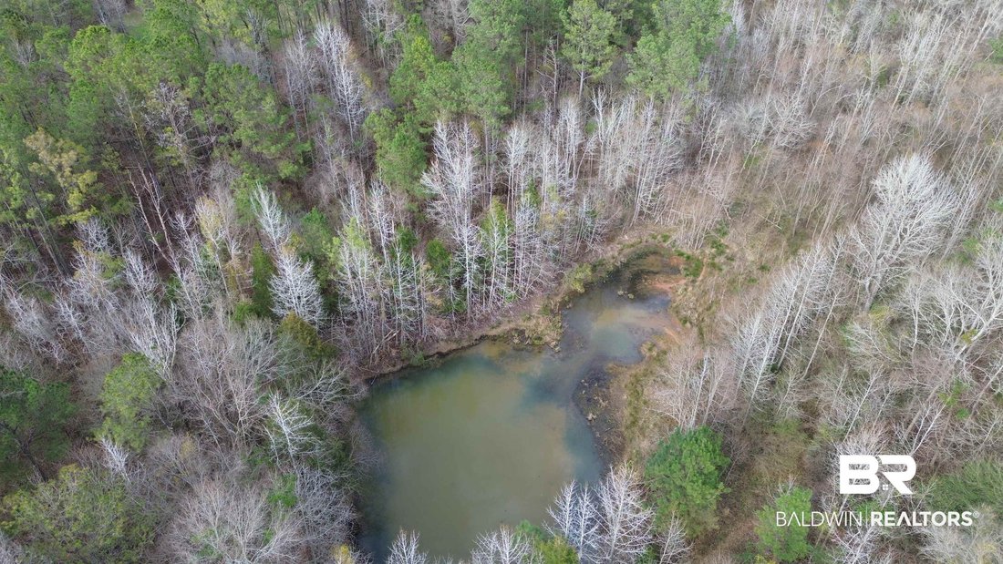 House in Brooklyn, Alabama, United States 3 - 17315578