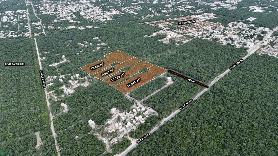 Land in Tulum, Quintana Roo, Mexico 4 - 17804343