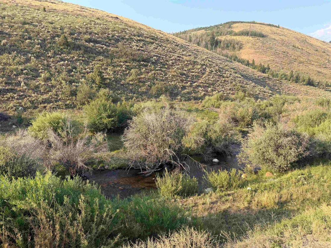 Land in Paris, Idaho, United States 2 - 18624985