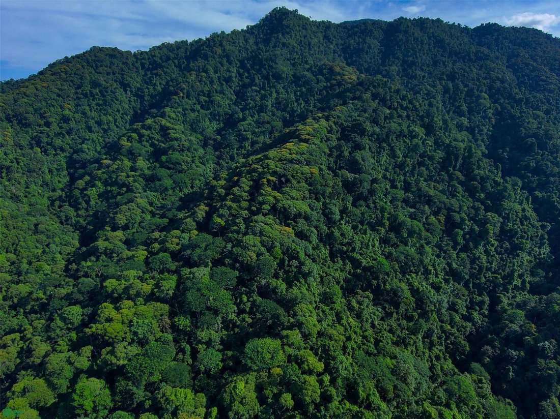 Terreno a Quepos, Provincia di Puntarenas, Costa Rica 4 - 18332706