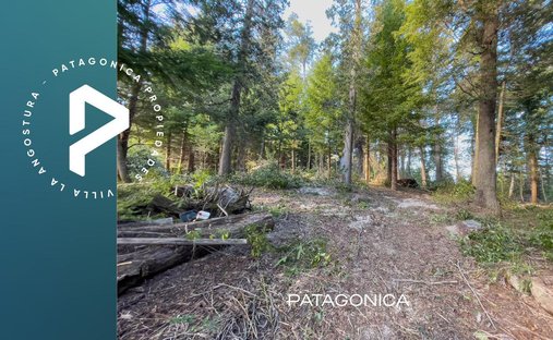 Land in Villa La Angostura, Neuquen, Argentina 1