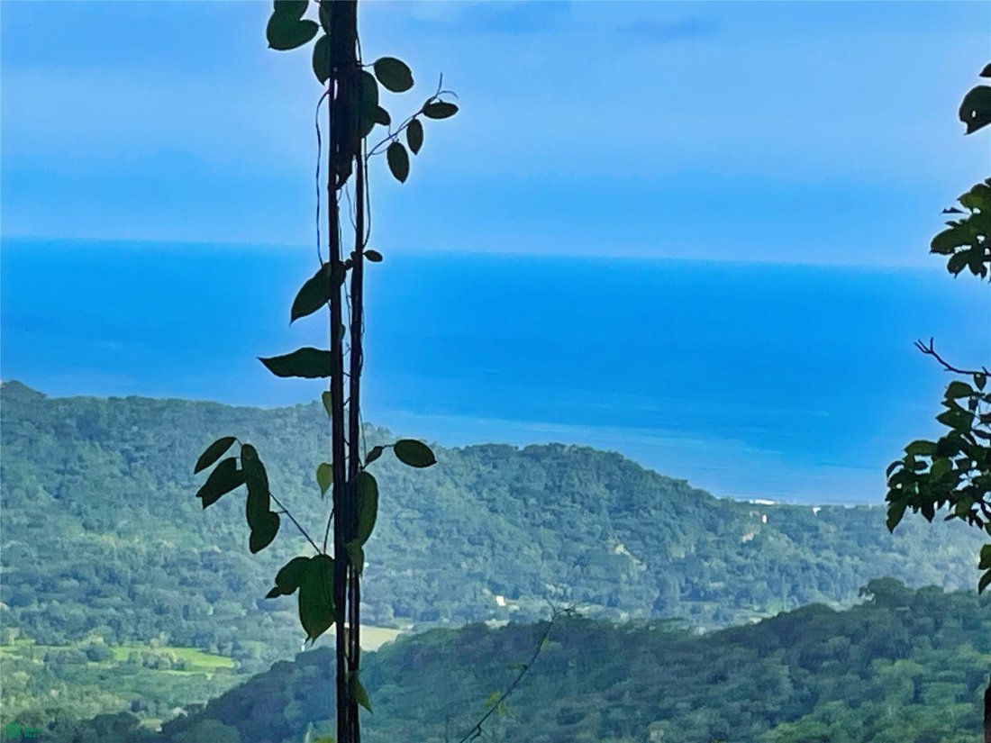 Land in Puerto Carrillo, Hojancha, Costa Rica 3 - 17811182
