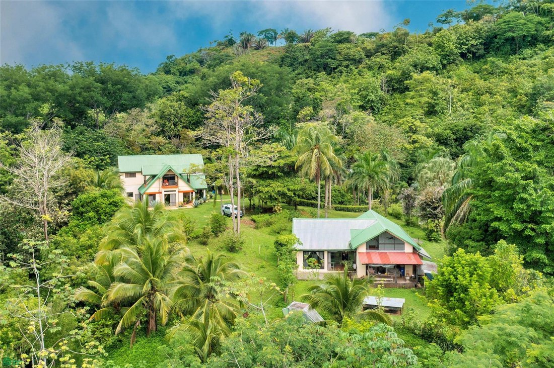 House in Parrita, Puntarenas Province, Costa Rica 4 - 17729006