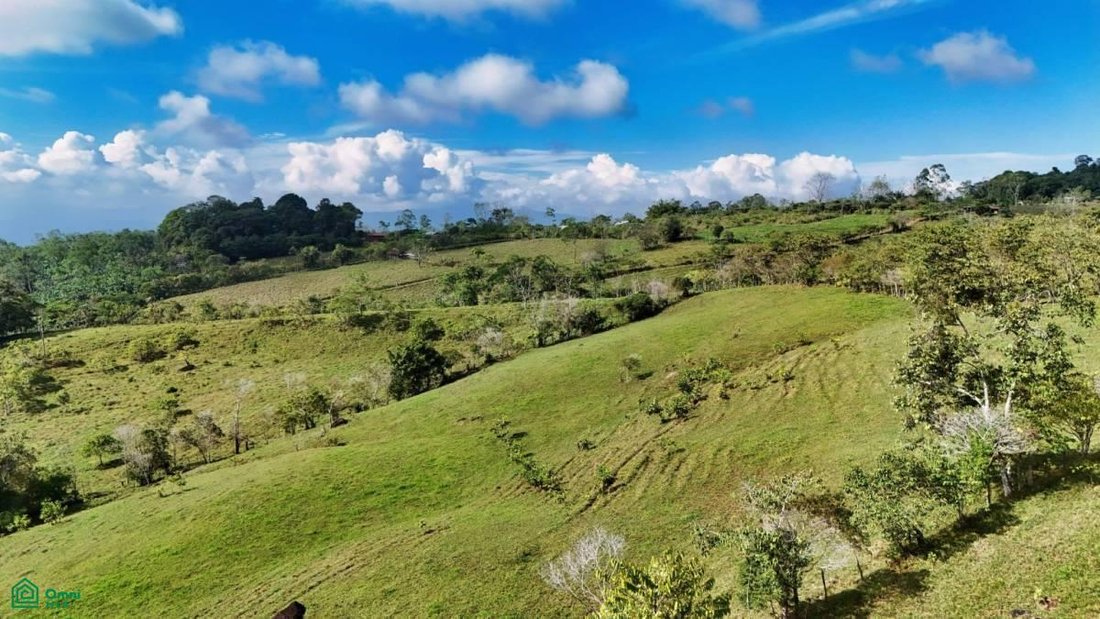 Land in Pérez Zeledón, Costa Rica 3 - 17811244