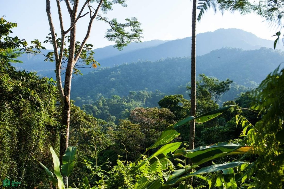 Land in Piedras Blancas, Puntarenas Province, Costa Rica 2 - 17811296