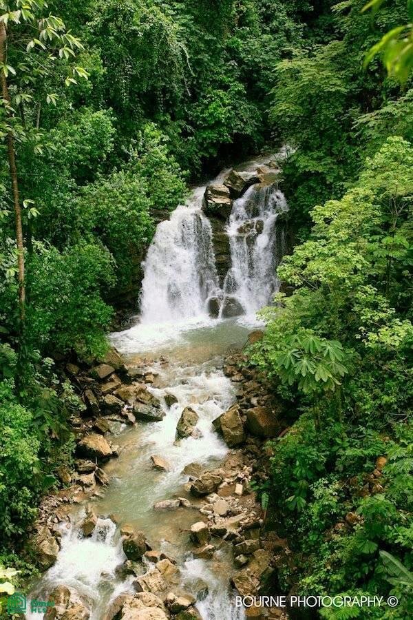 Land in Piedras Blancas, Puntarenas Province, Costa Rica 3 - 17811296