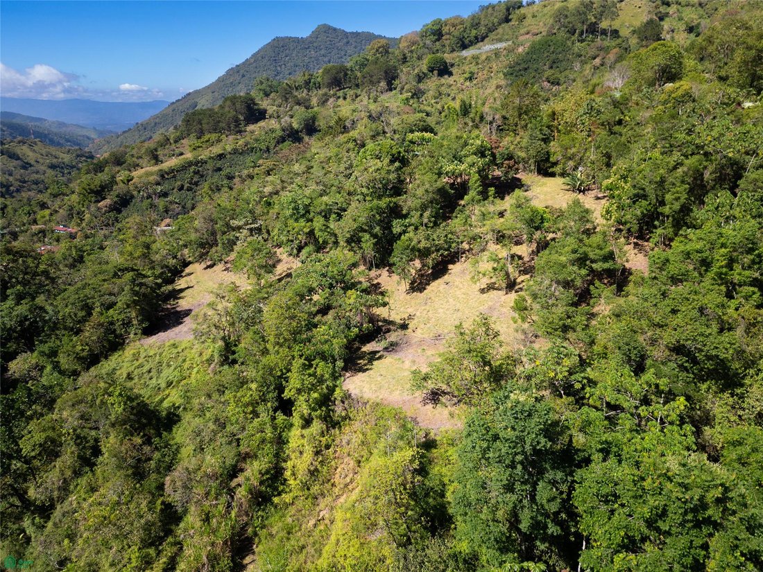 Land in Rivas, San José Province, Costa Rica 4 - 17811213