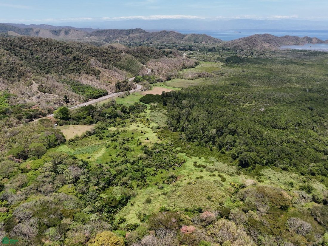Land in Paquera, Puntarenas Province, Costa Rica 3 - 17811242