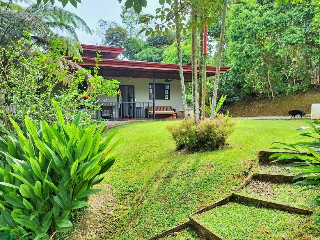 House in Quizarra, San José Province, Costa Rica 3 - 17729005