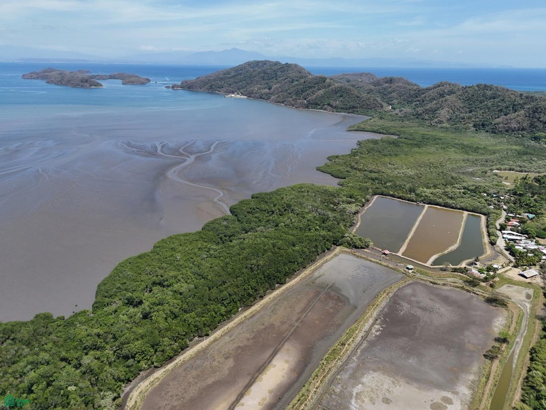 Land in Paquera, Puntarenas Province, Costa Rica 5 - 17811242
