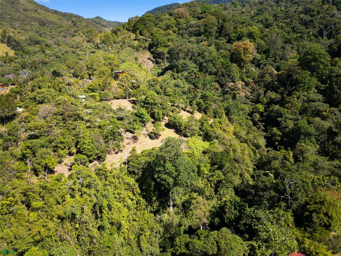 Land in Rivas, San José Province, Costa Rica 5 - 17811213