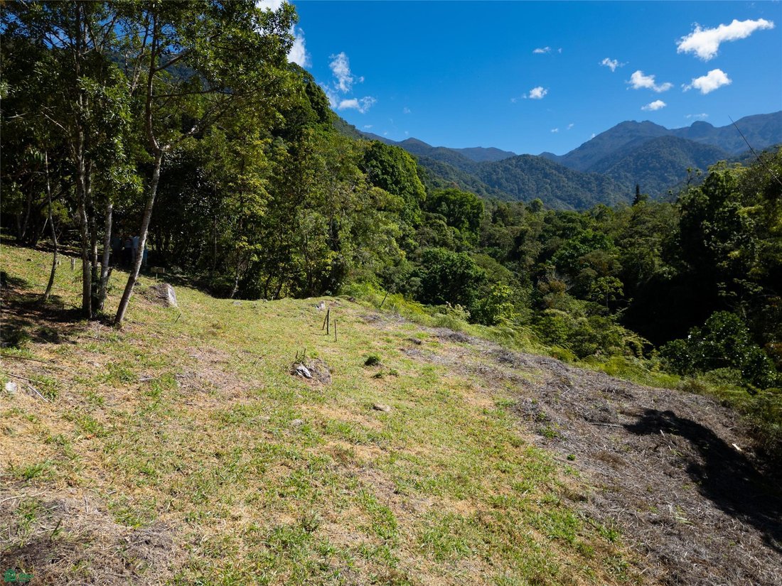 Land in Rivas, San José Province, Costa Rica 3 - 17811213