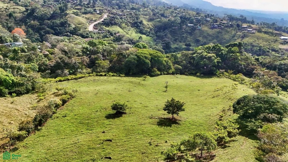 Land in Pérez Zeledón, Costa Rica 2 - 17811244