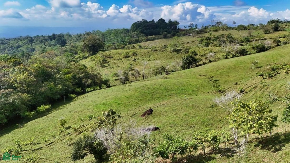 Land in Pérez Zeledón, Costa Rica 4 - 17811244