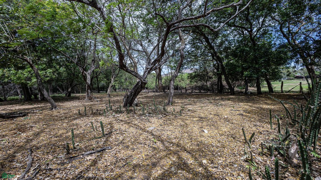 Land in Potrero, Guanacaste Province, Costa Rica 4 - 17804854