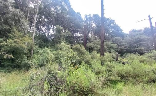 Land in Espíritu Santo, State of Mexico, Mexico 1