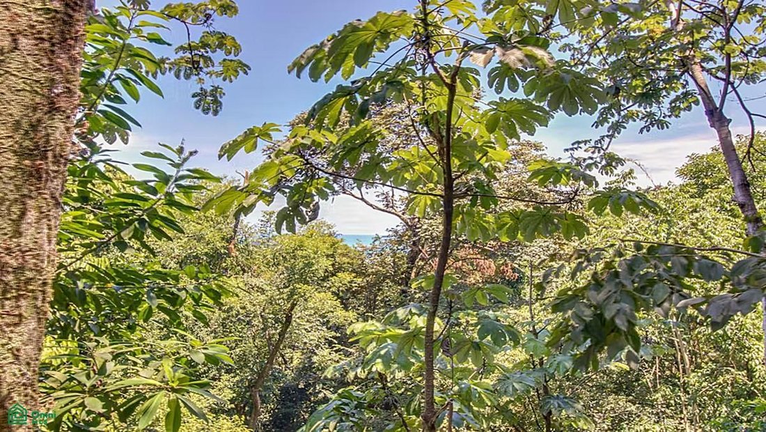 House in Quepos, Puntarenas Province, Costa Rica 5 - 18321254