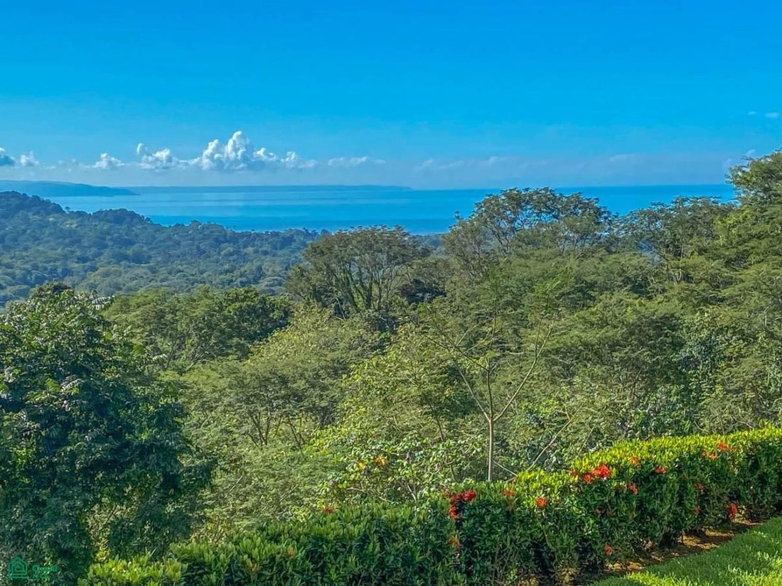 House in Tortuga Arriba, Puntarenas Province, Costa Rica 5 - 17088468