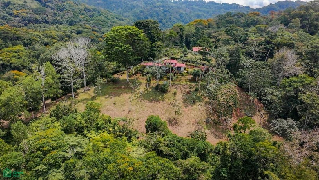 House in Pérez Zeledón, Costa Rica 5 - 17088667