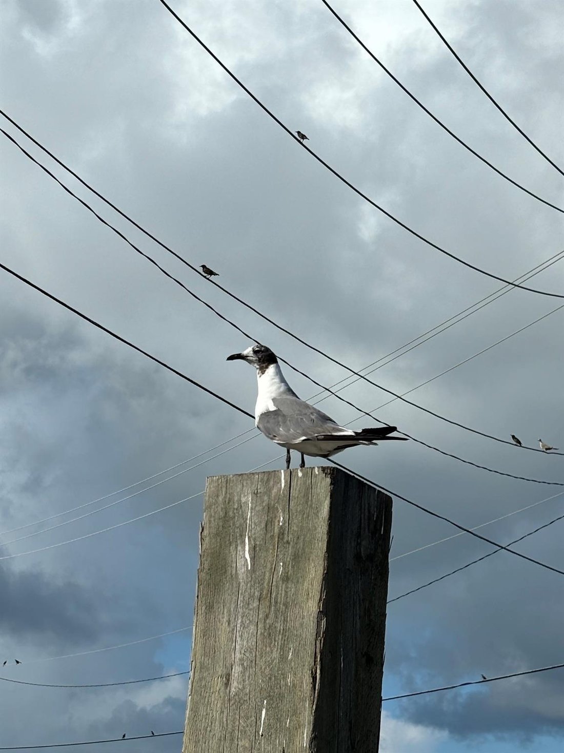 House in Freeport, Texas, United States 2 - 18265131