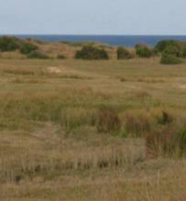 Land in Brasil, State of Rio Grande do Sul, Brazil 2 - 18627103