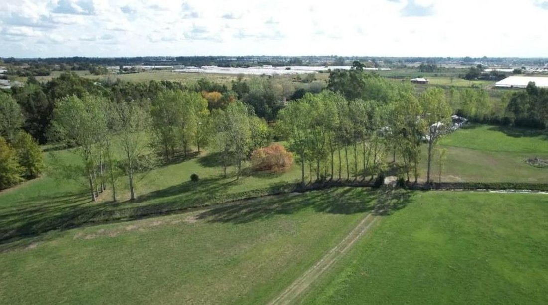 Land in Lisandro Olmos, Buenos Aires Province, Argentina 4 - 18627008