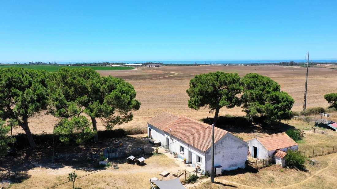 Finca in S.Teotónio, Beja District, Portugal 2 - 18629968