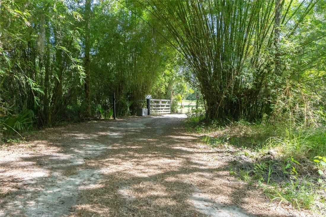 House in Oak Hill, Florida, United States 2 - 18628933