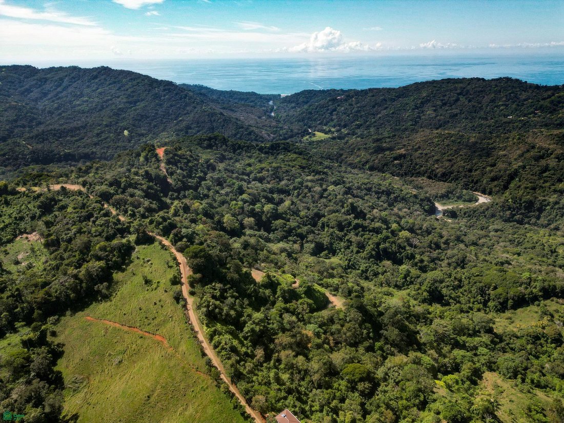 Land in Bahía Ballena, Pérez Zeledón, Costa Rica 3 - 18111949