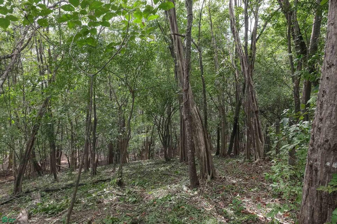 Land in Cuajiniquil, Santa Cruz, Costa Rica 2 - 18459564