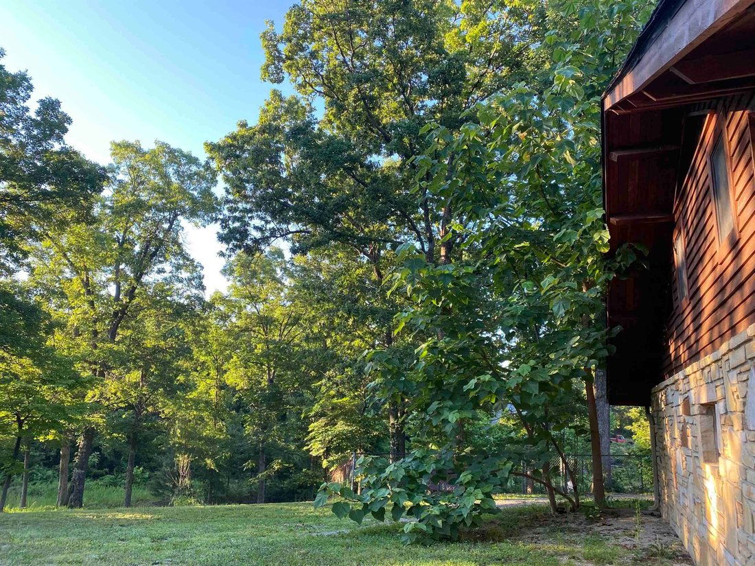 House in Highland, Arkansas, United States 3 - 18628930