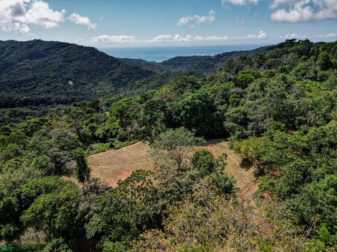 Land in Bahía Ballena, Pérez Zeledón, Costa Rica 5 - 18111949