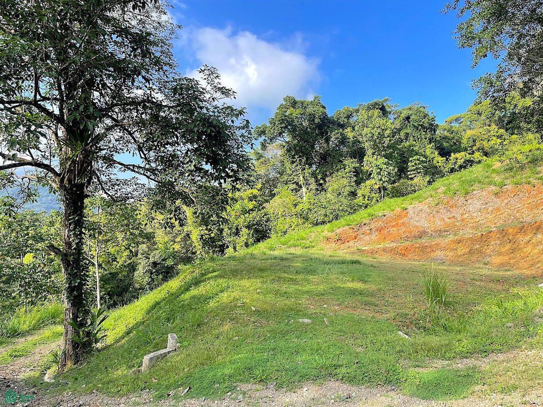Land in Savegre de Aguirre, Puntarenas Province, Costa Rica 1 - 18584216