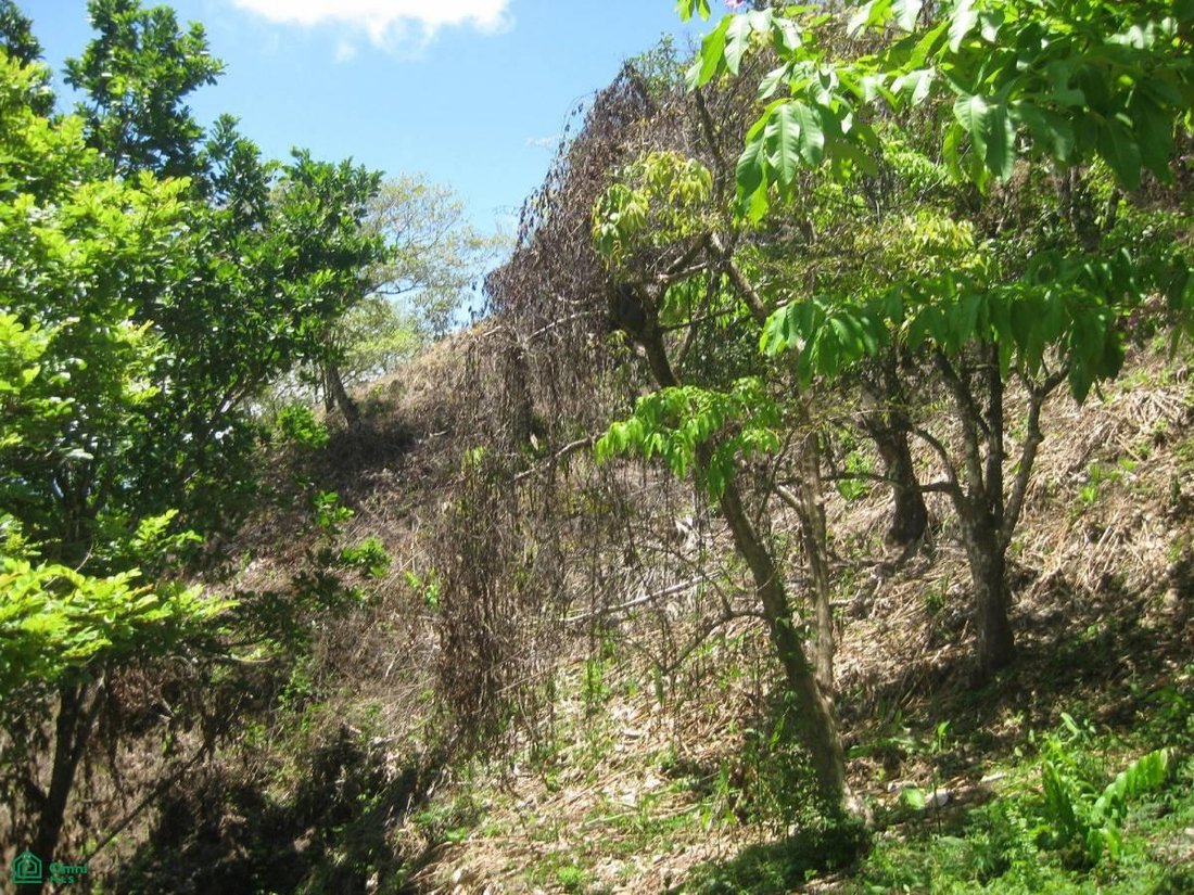 Land in Quepos, Provinz Puntarenas, Costa Rica 3 - 17811227