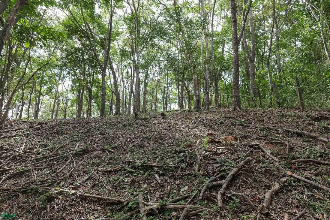 Land in Cuajiniquil, Santa Cruz, Costa Rica 4 - 18459593