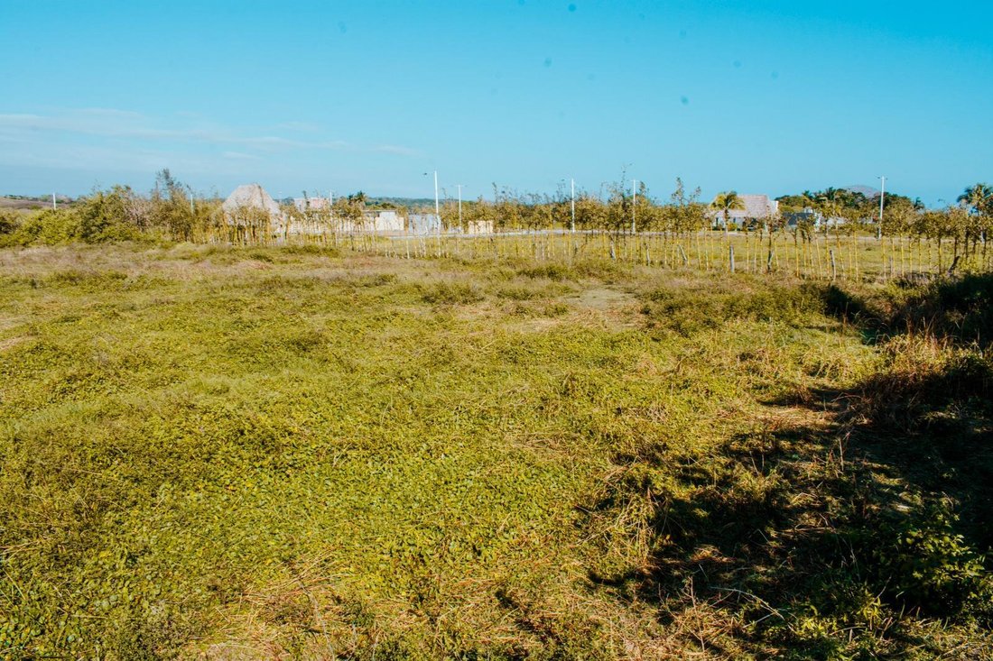 Land in Playa Zapote, Veracruz, Mexico 5 - 18629599