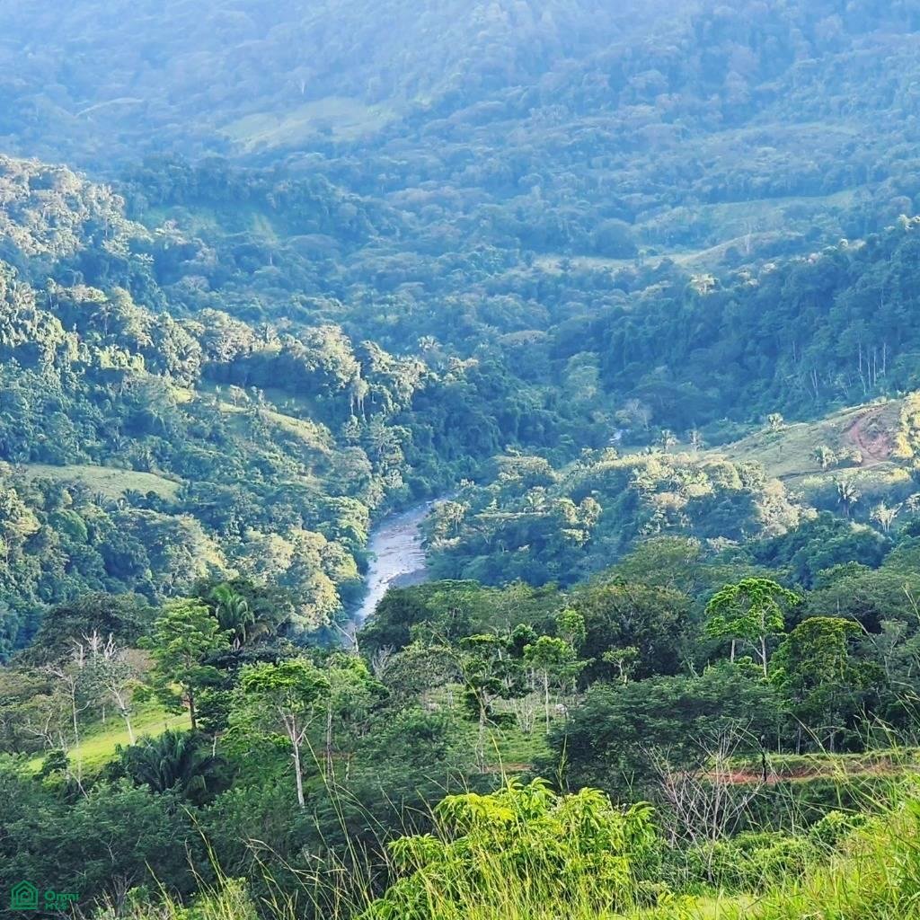 Land in Carara, San José Province, Costa Rica 3 - 17811345