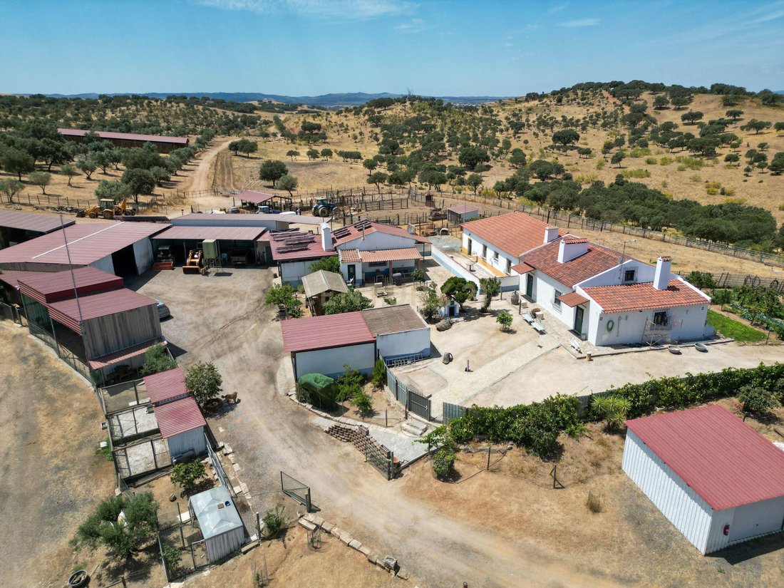 Azienda agricola a Sao Mancos e Sao Vicente do Pigeiro, Distretto di Évora, Portogallo 1 - 18067615