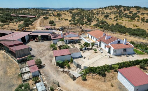 Farm Ranch in Sao Mancos e Sao Vicente do Pigeiro, Évora District, Portugal 1