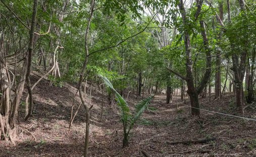 Terreno in Cuajiniquil, Santa Cruz, Costa Rica 1