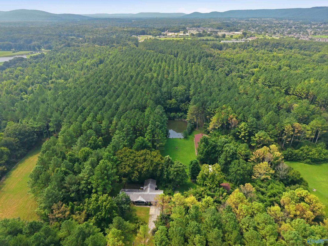 Land in Owens Cross Roads, Alabama, United States 5 - 18628158