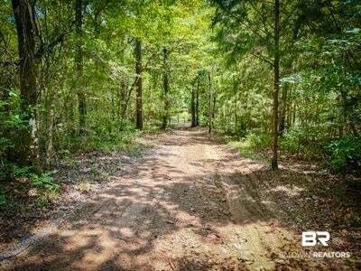 House in Bay Minette, Alabama, United States 5 - 18628305
