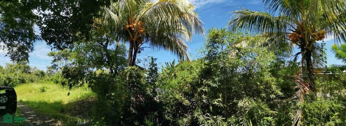 Land in Quepos, Puntarenas Province, Costa Rica 5 - 17811225