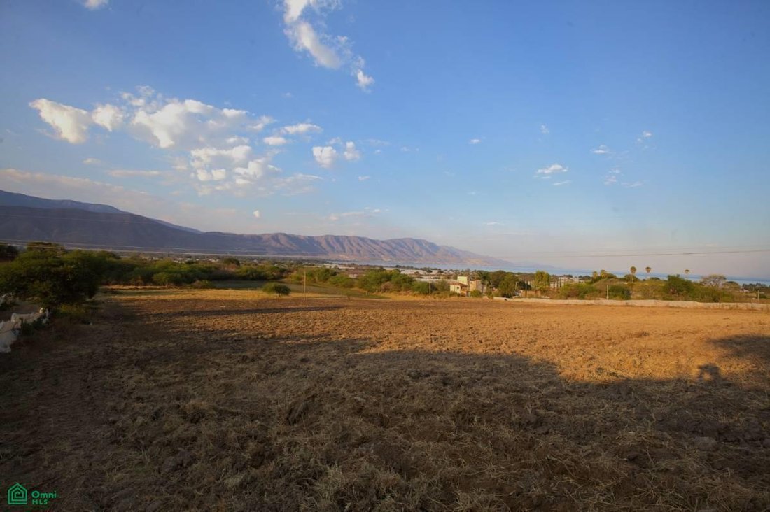 Land in San Martin, Jalisco, Mexico 5 - 17845434