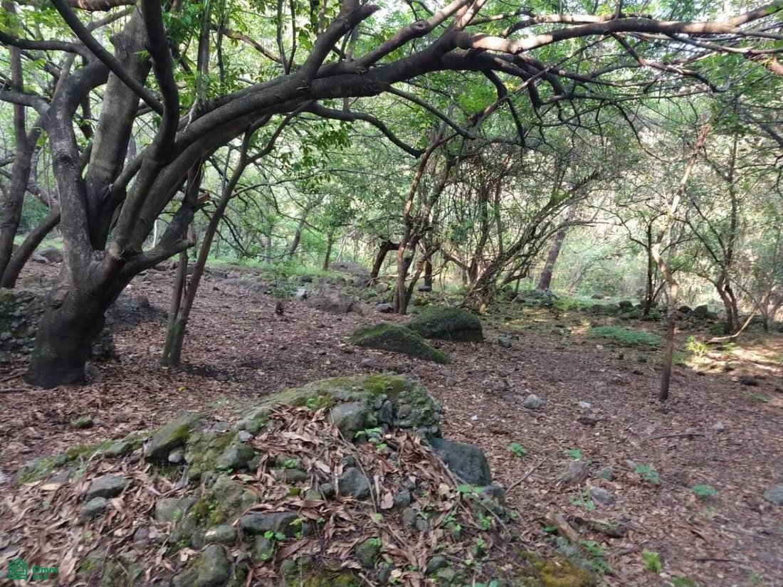Land in El Golan, Morelos, Mexico 1 - 17814549