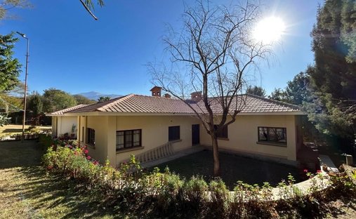 House in Tarija, Tarija Department, Bolivia 1