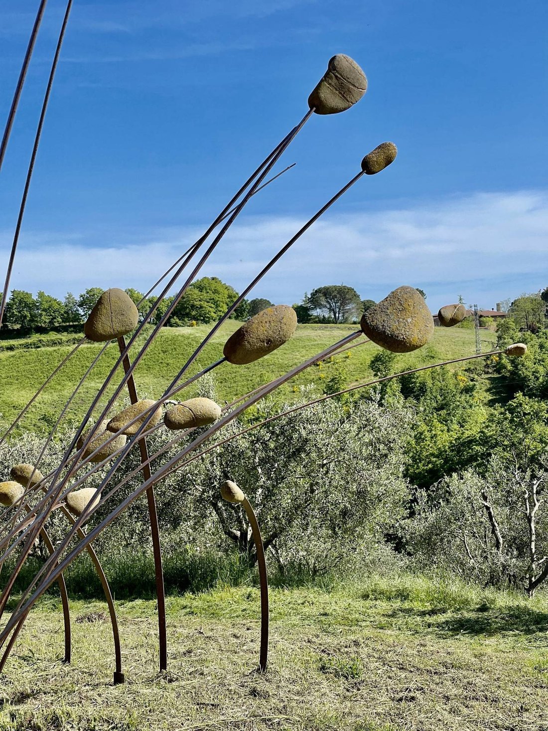 Country House in Manciano, Tuscany, Italy 5 - 18630445