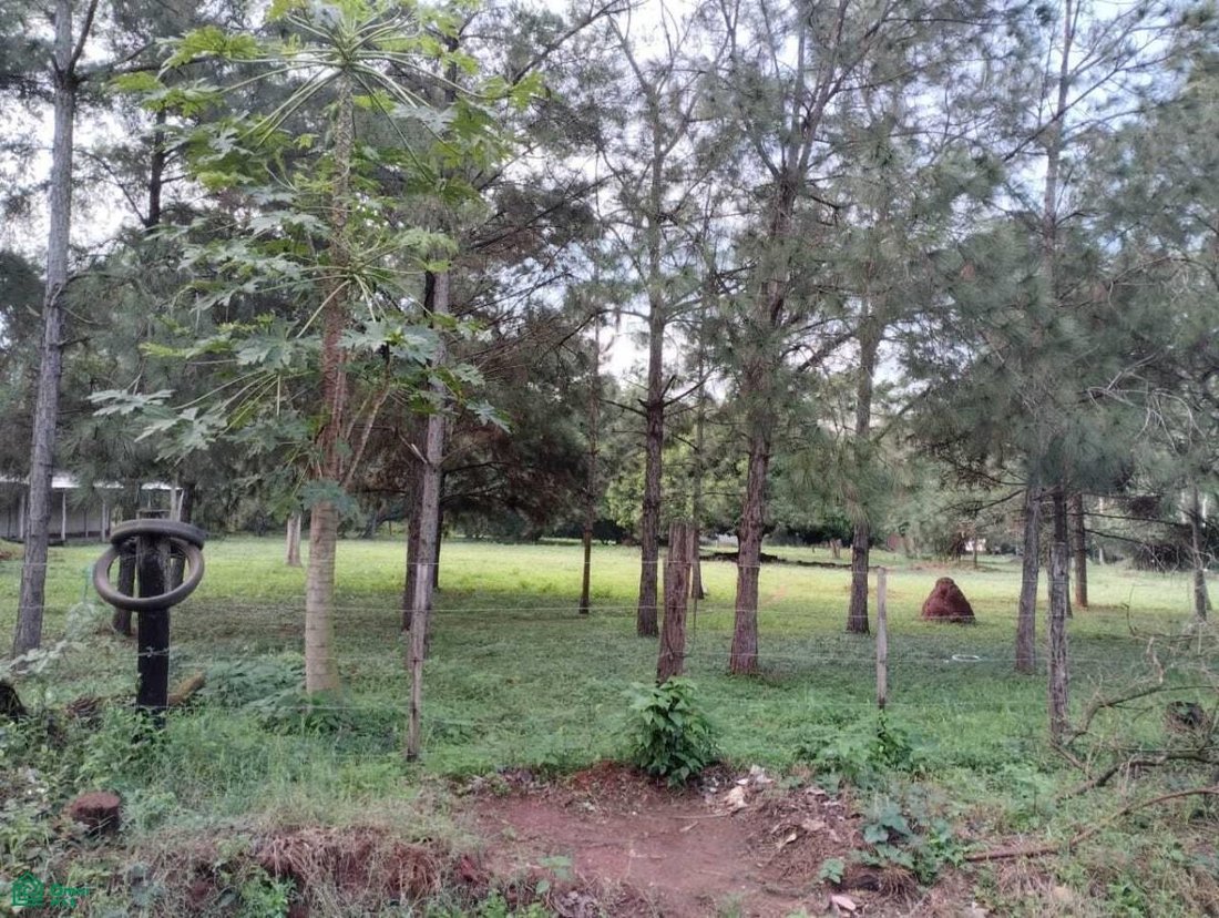 Terreno en Luque, Central, Paraguay 3 - 18535283